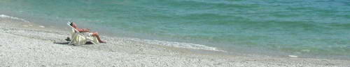 Relax in the sun to the sound of the waves gently lapping Relax in the sun to the sound of the waves gently lapping