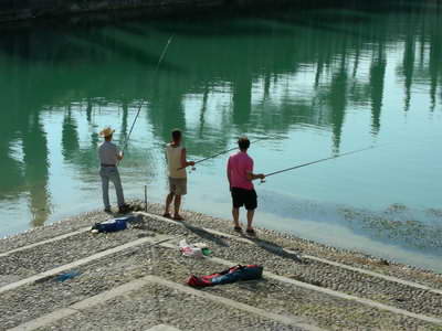 The water is so clear here it is easy to see the fish!