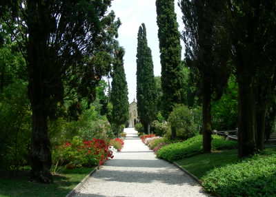 There are loads of lovely plants and walks all around you at Lake Garda