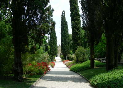 There are loads of lovely plants and walks all around you at Lake Garda There are loads of lovely plants and walks all around you at Lake Garda