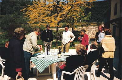 Olive oil tasting session