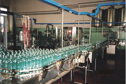 Olive oil bottling line in a local factory Olive oil bottling line in a local factory