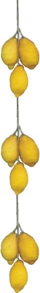 Lemons